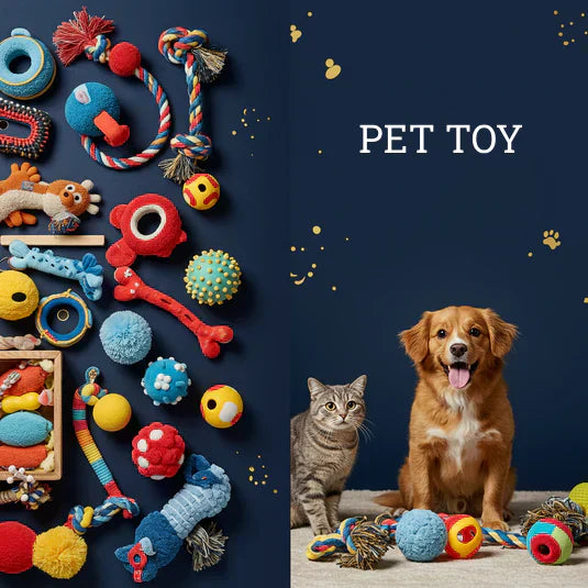 Pet Toy